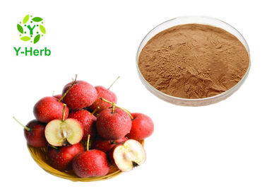 P.E.  Hawthorn Berry Juice Concentrate Powder Natural Fructus Crataegi