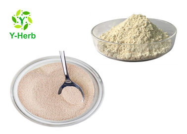 Brewer Fermentation Food Grade Torula Yeast Extract Beta-Glucan Powder 30%-80%
