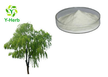 White Willow Tree Bark Extract Salicin Powder 10% - 98% CAS 138-52-3