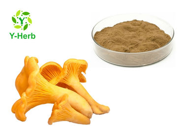 10% 30% Chantarelle Mushroom Extract Powder Yellow Brown Color Anti Oxidant