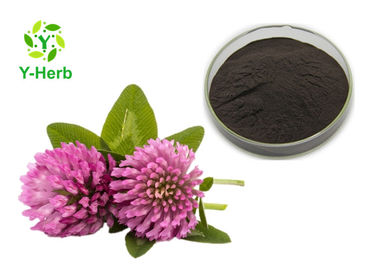 80 Mesh Herbal Extract Powder Red Clover Extract Isoflavones 2.5% 8% For Women Products
