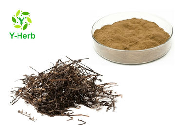 Spreading Hedyotis Herb Powder/Hedyotis Diffusa/Oldenlandia Diffusa Extract 10:1