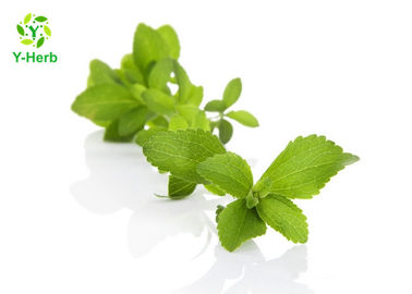 CAS 58543-16-1 Dried Leaf Stevia Extract Powder RA98% TSG98% Low Calorie