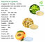 Pharmaceutical Grade Herbal Extract Powder Genistein 98% Powder C15H10O5